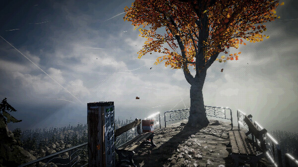 SOS Incident screenshot 8