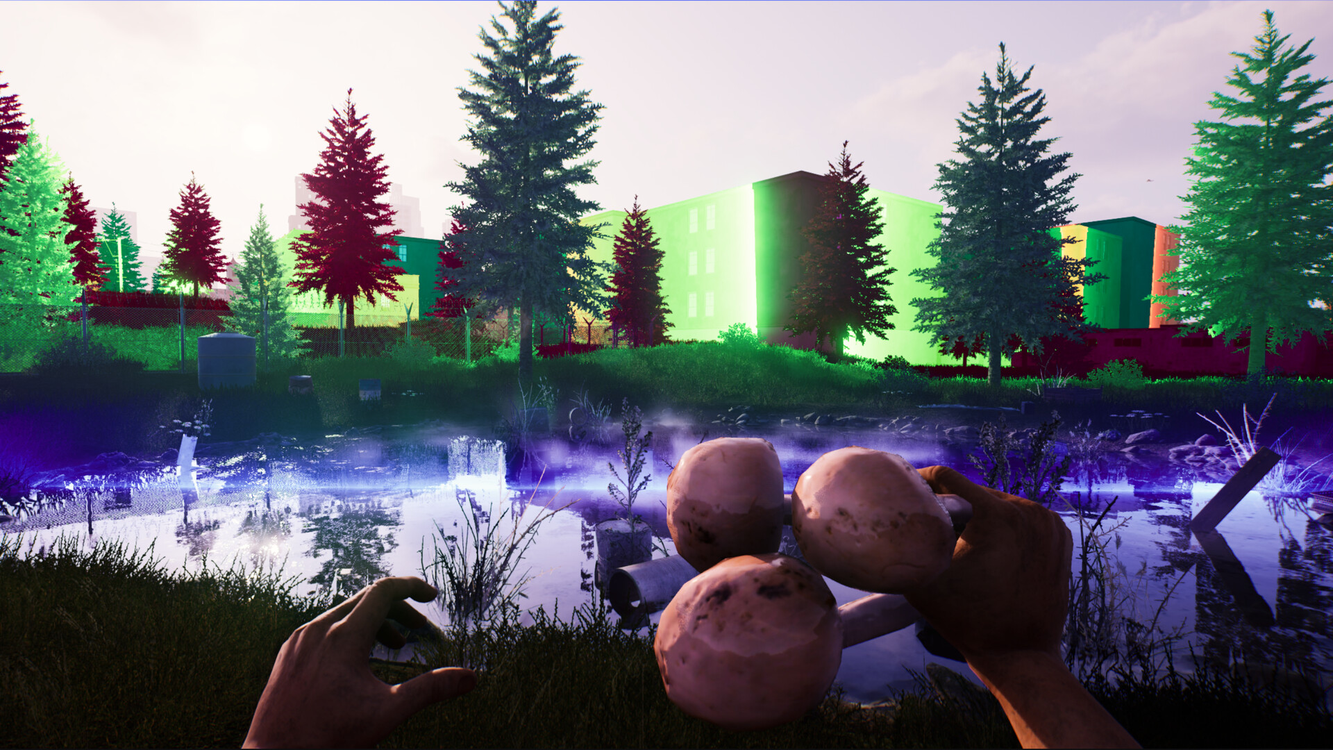 Bum: Revenge screenshot #2