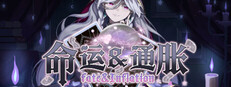 命运&通胀 -Fate&Inflation- Steam capsule image