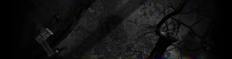 Darkwood 2 video 1