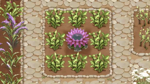 Mandrake video 6