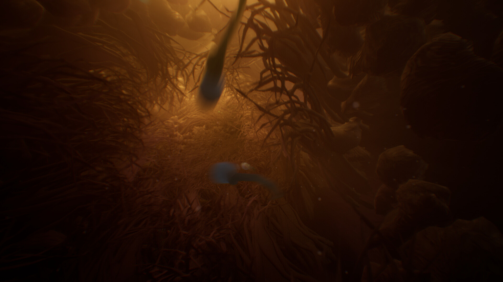 BeCum: A Sperm's Journey screenshot #4