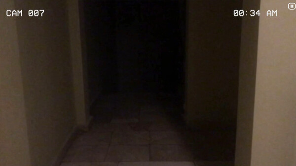 Paranormal Inc. screenshot 1