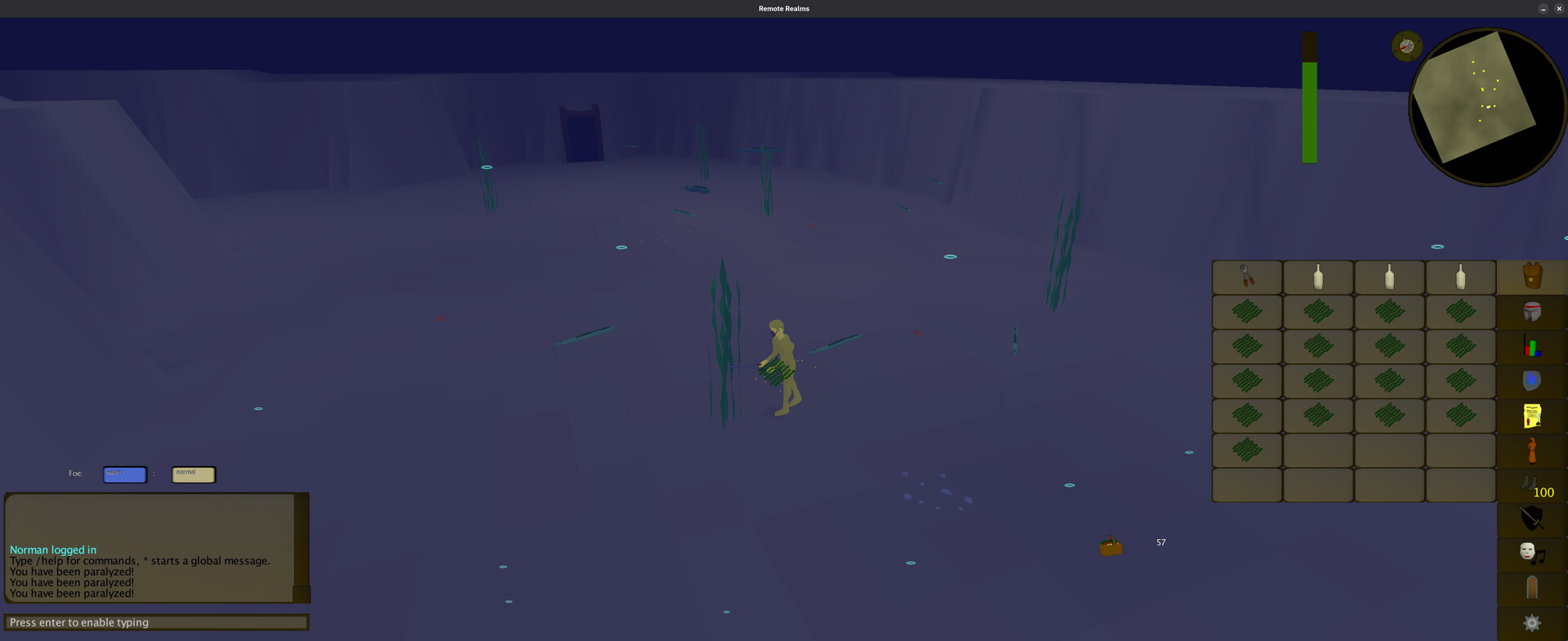 Remote Realms screenshot #2