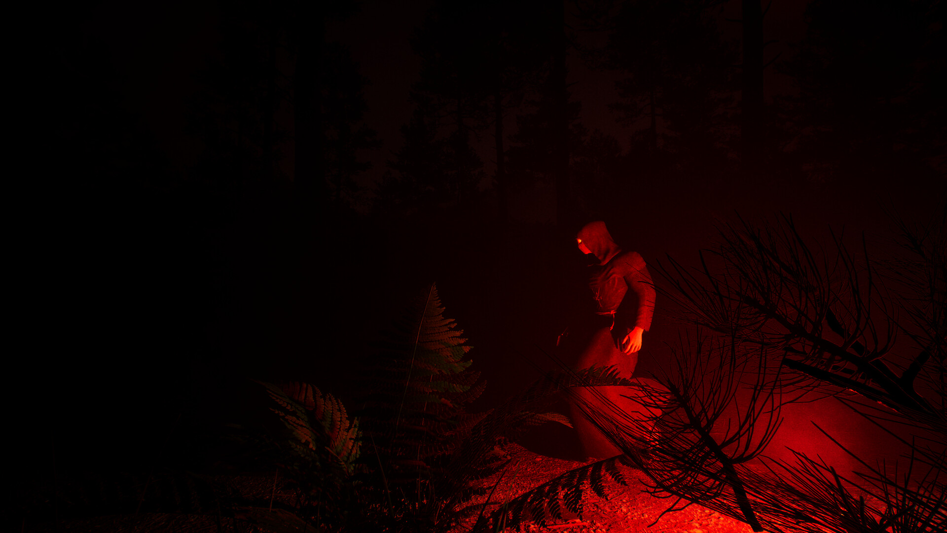 Dark Realms: Mysteries of Hoia Baciu Forest screenshot 6