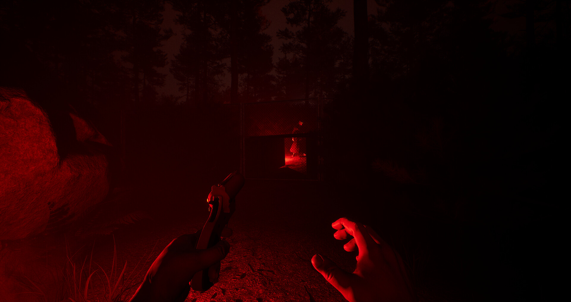 Dark Realms: Mysteries of Hoia Baciu Forest screenshot 4