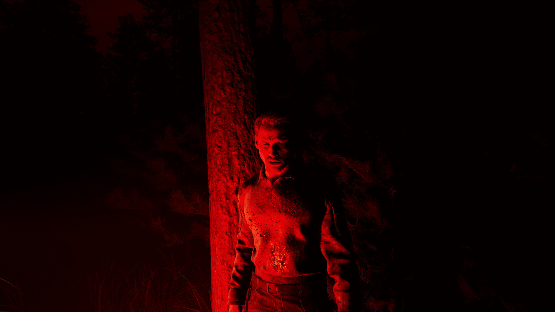Dark Realms: Mysteries of Hoia Baciu Forest screenshot 13