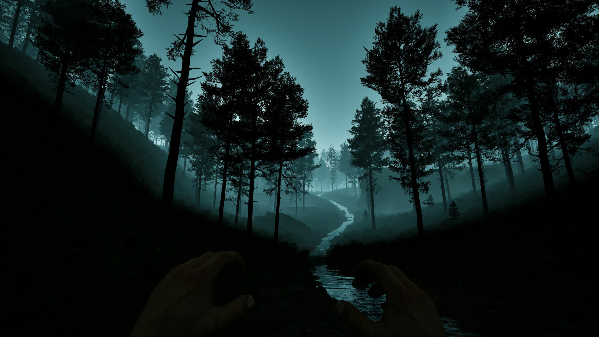 Dark Realms: Mysteries of Hoia Baciu Forest screenshot 1