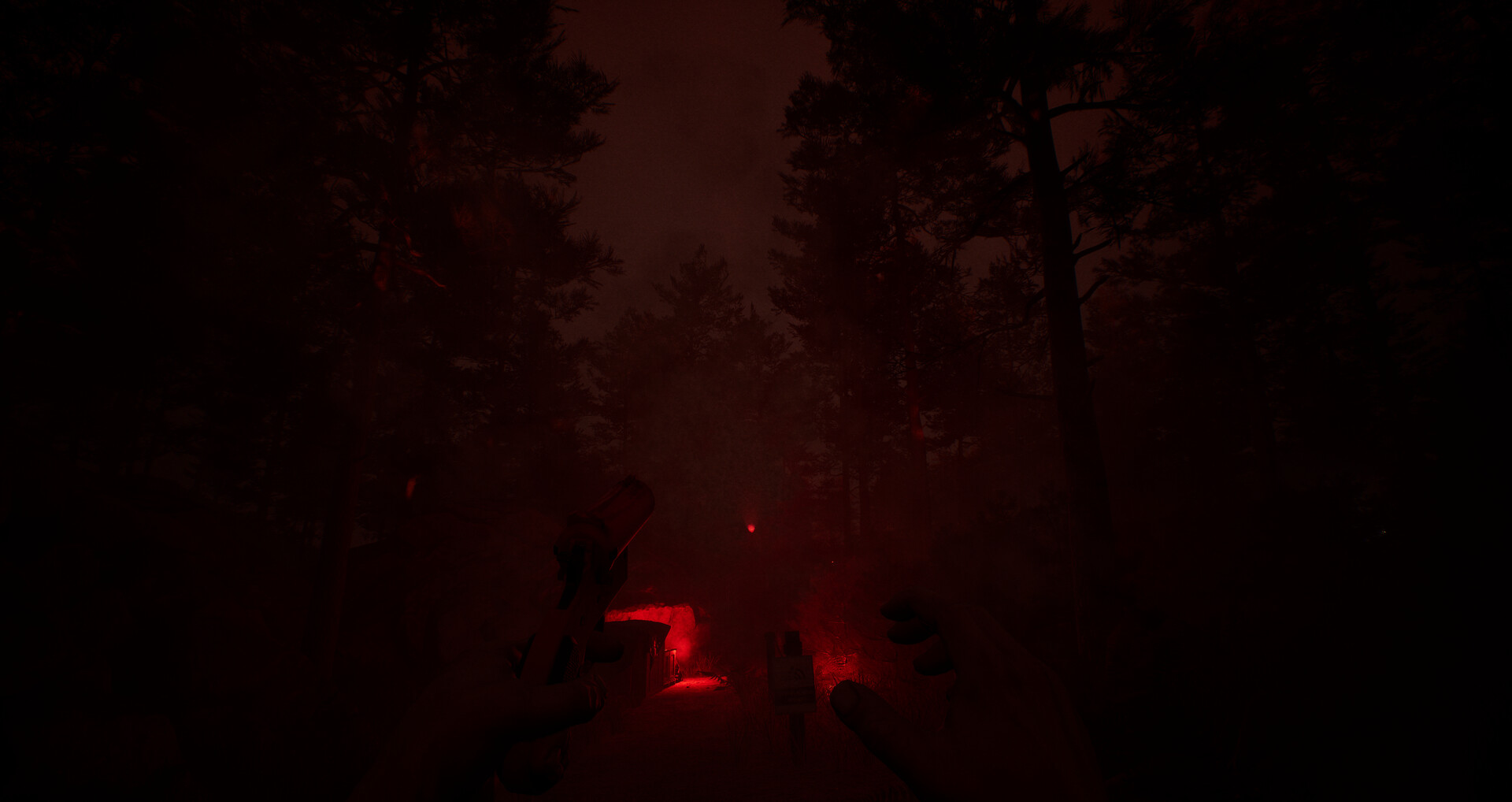 Dark Realms: Mysteries of Hoia Baciu Forest screenshot 9