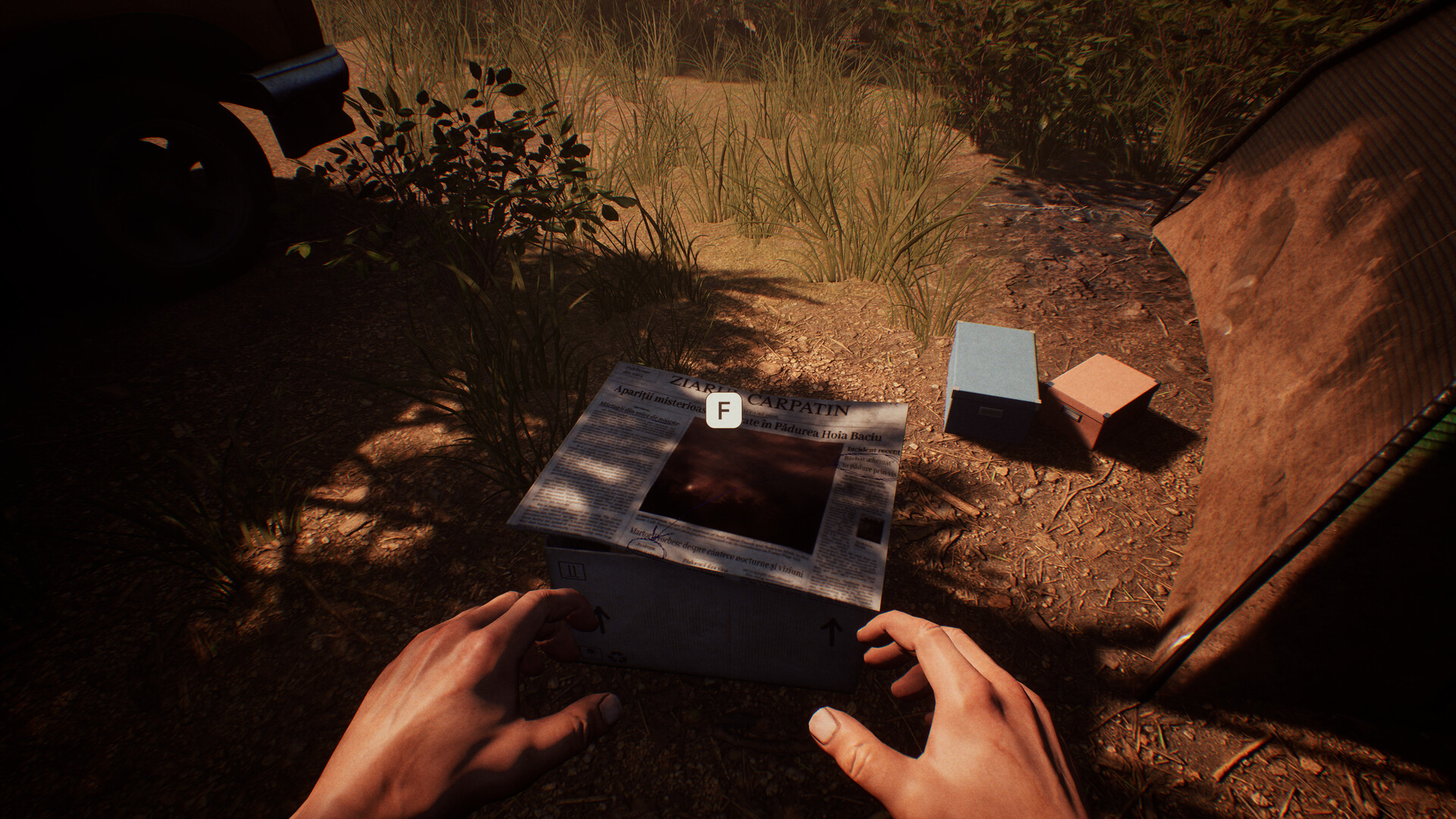 Dark Realms: Mysteries of Hoia Baciu Forest screenshot 10