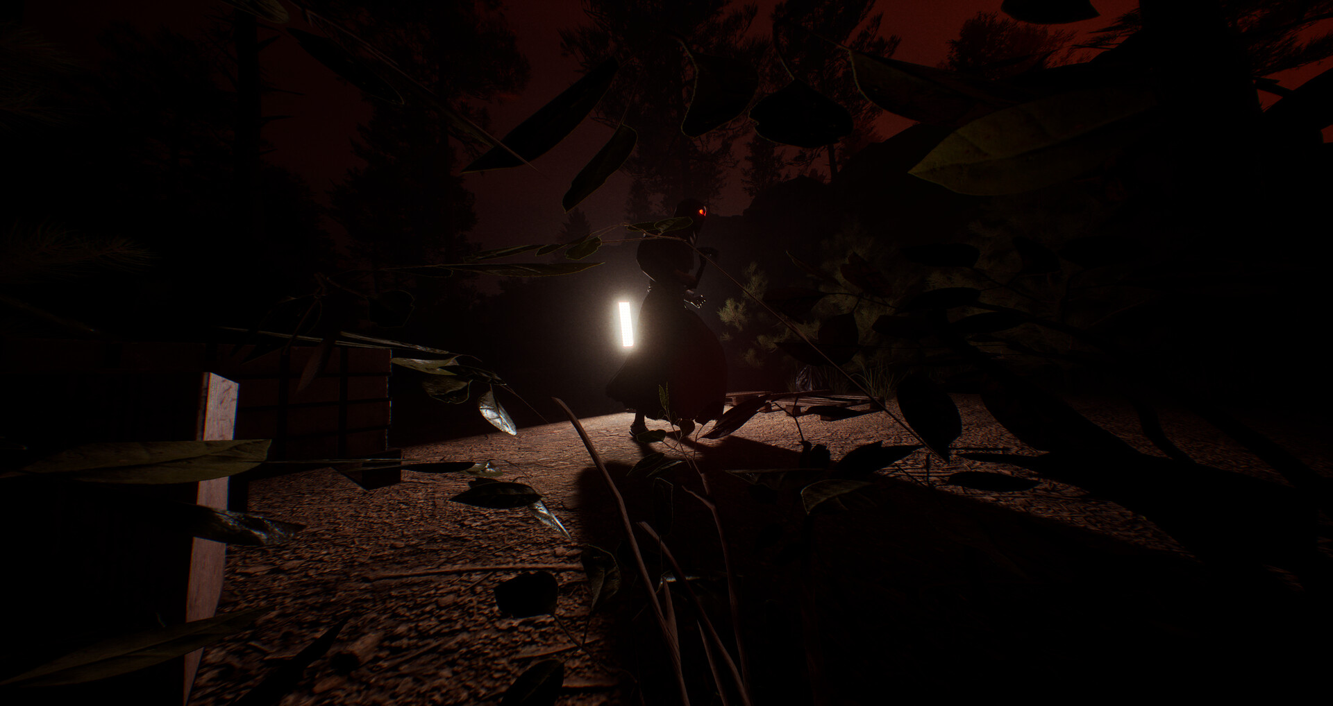 Dark Realms: Mysteries of Hoia Baciu Forest screenshot 2