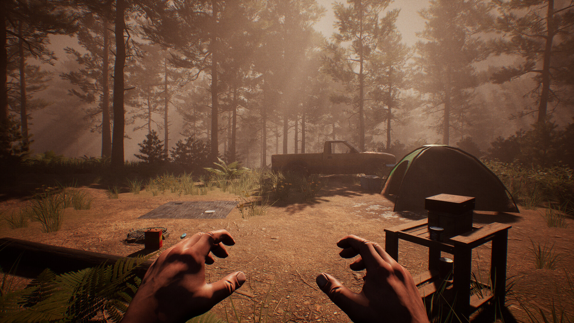 Dark Realms: Mysteries of Hoia Baciu Forest screenshot 3