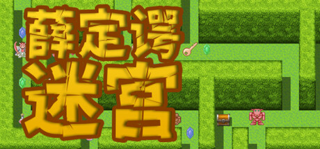 薛定谔迷宫 cover art