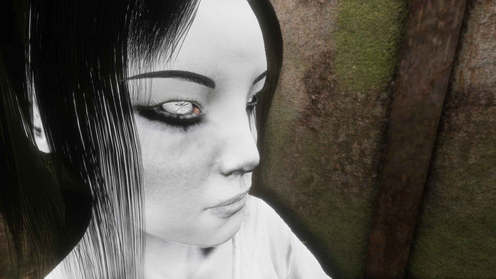 Scare: Fatal Picture - The Other Side screenshot #1