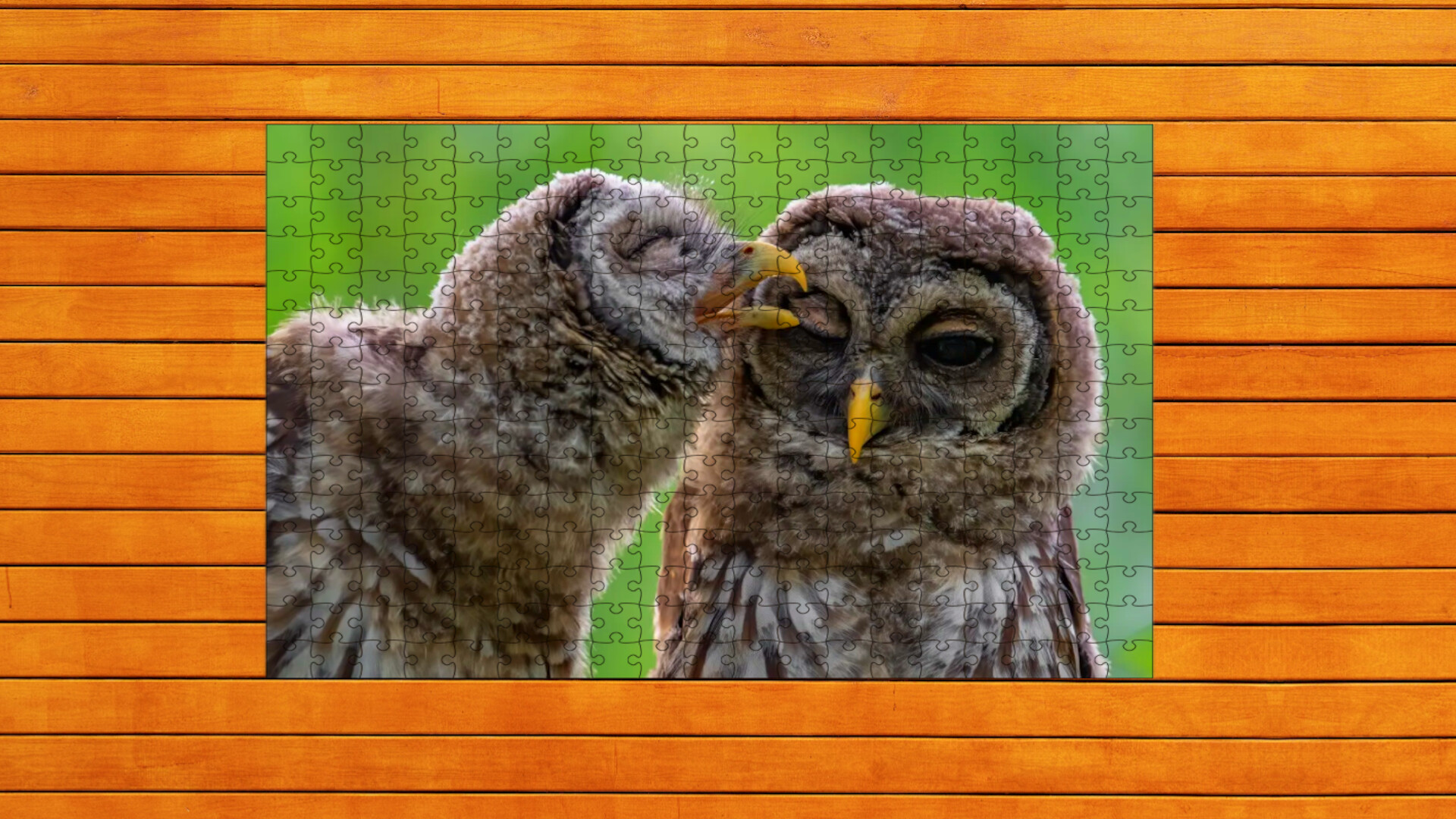 Whispers of Wings Jigsaw Puzzles - Expansion Pack 4 Featured Screenshot #1
