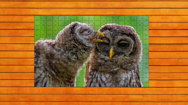 Whispers of Wings Jigsaw Puzzles - Expansion Pack 4