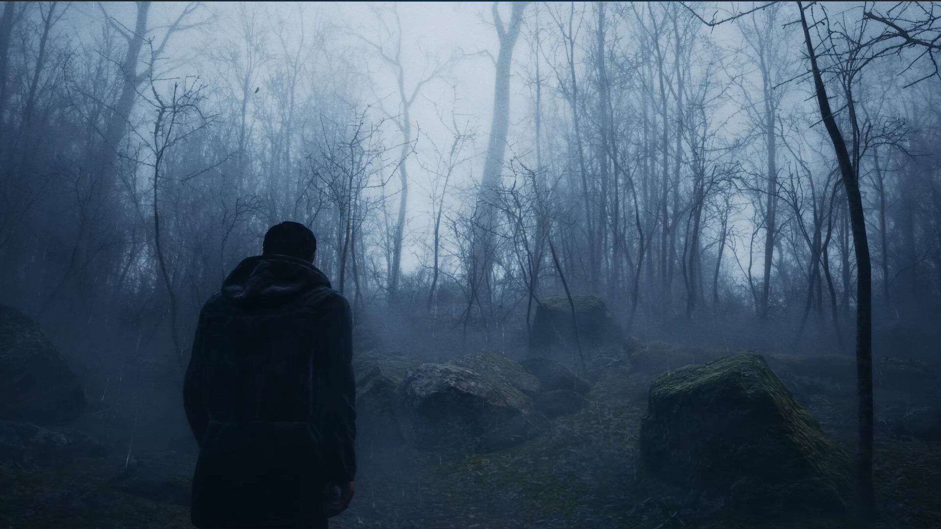 Whispers in the fog screenshot #1