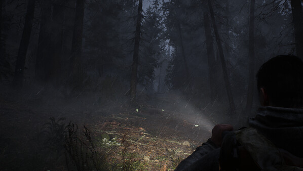 Whispers in the fog