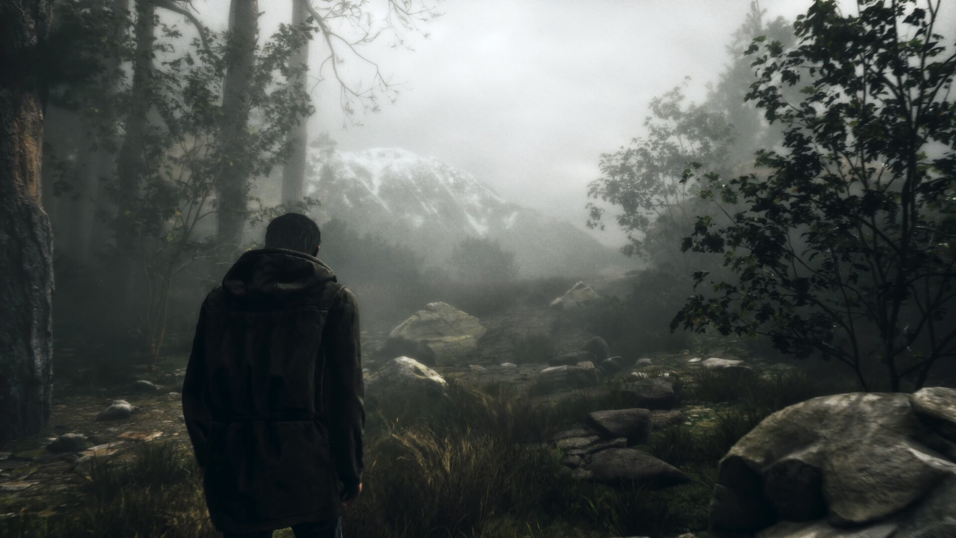 Whispers in the fog screenshot #6