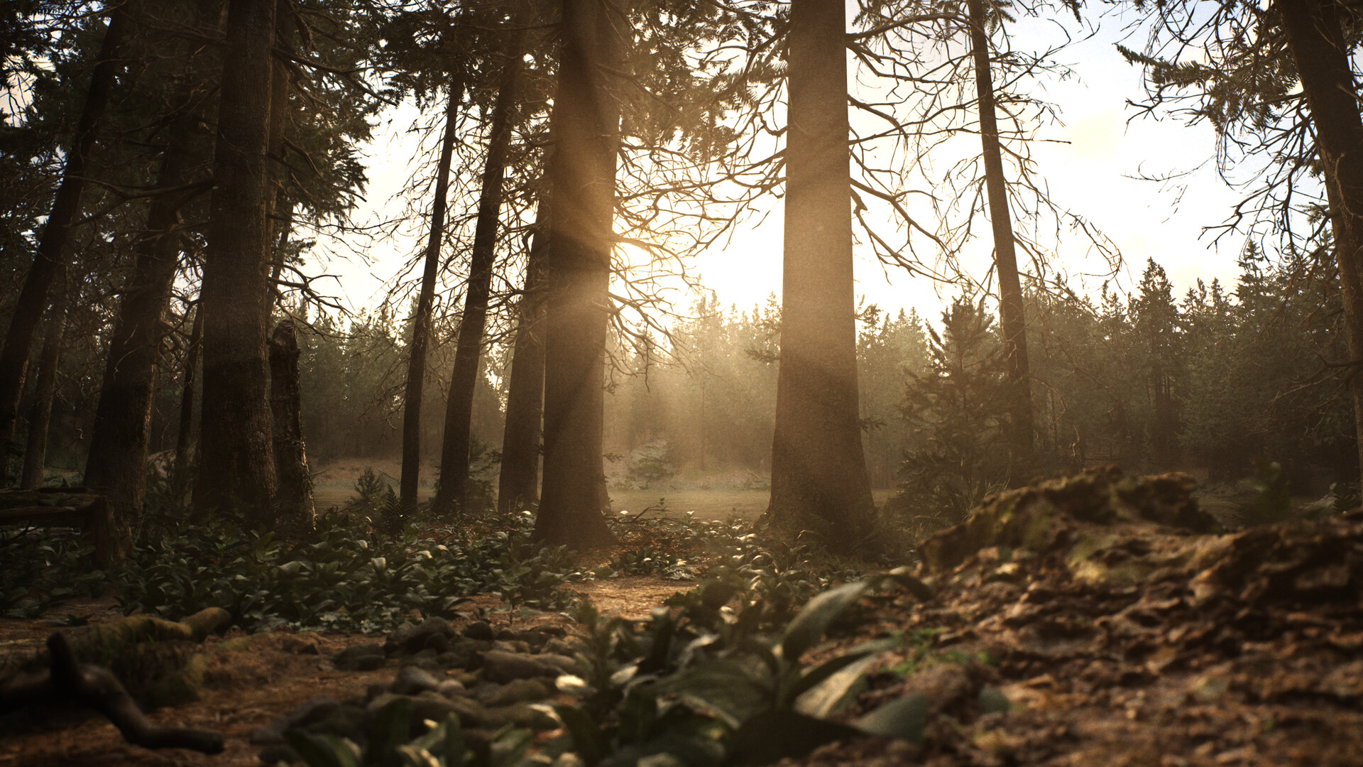 Whispers in the fog screenshot #14