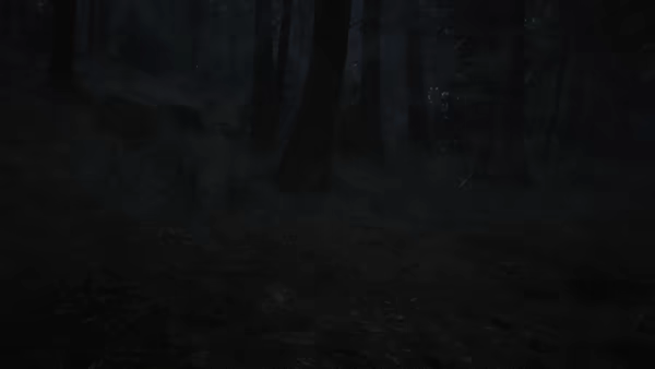 Whispers in the fog video 2