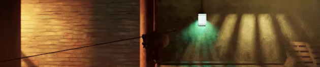 Bones: Wandering Soul video 2