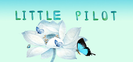 Image for Little pilot