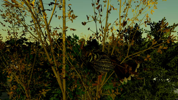 Turkey Hunting - The Season