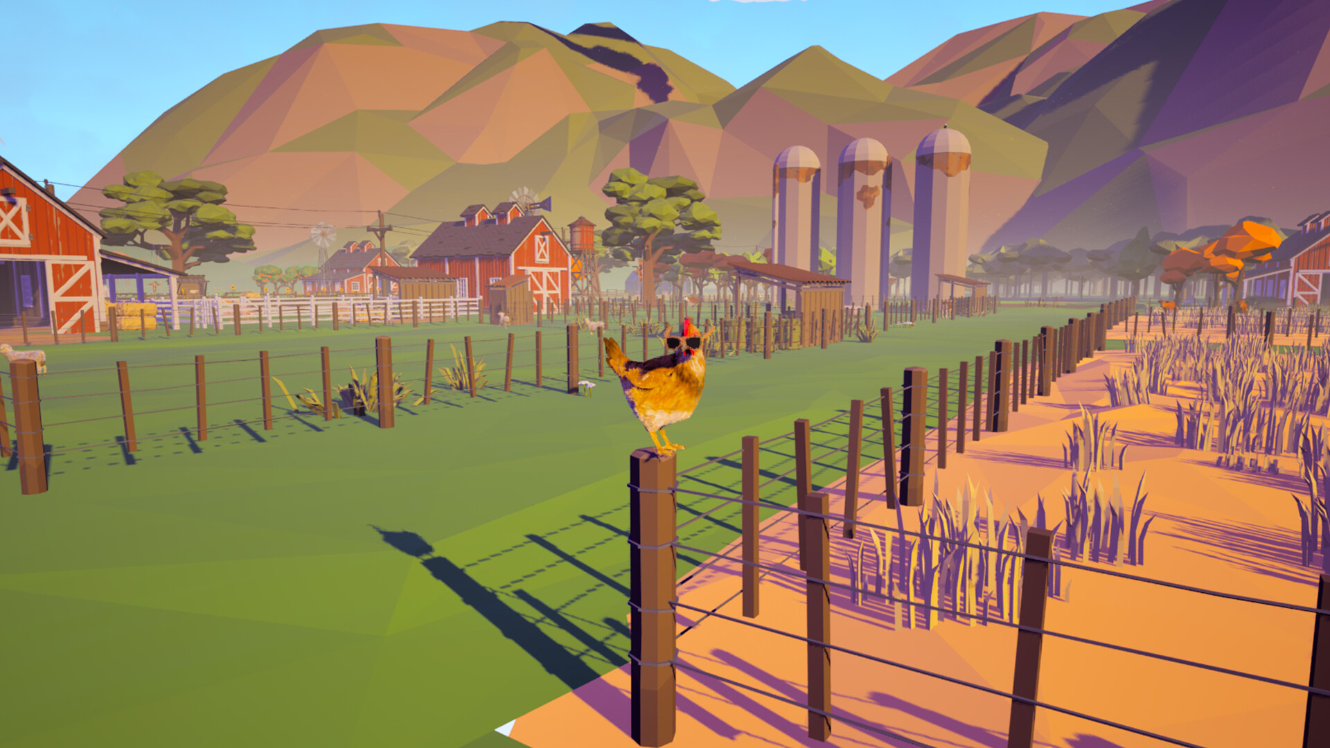 Farm Chicken screenshot #12