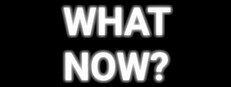WHAT NOW? - The Social Experiment Game