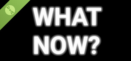 WHAT NOW? - The Social Experiment Game Demo