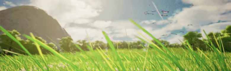 Toto's Journey video 3