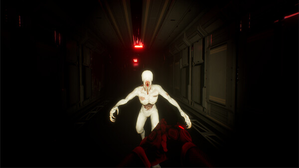 Screenshot of Void Raider