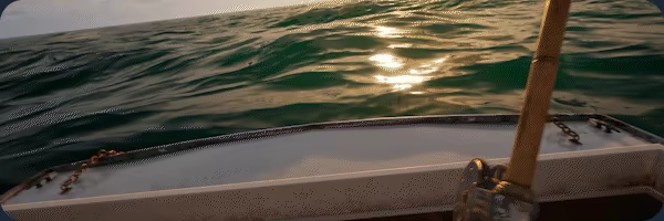 Catch&Cargo video 3