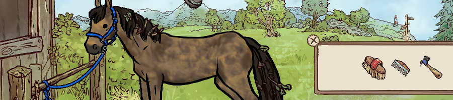Horses of Hoofprint Bay video 2