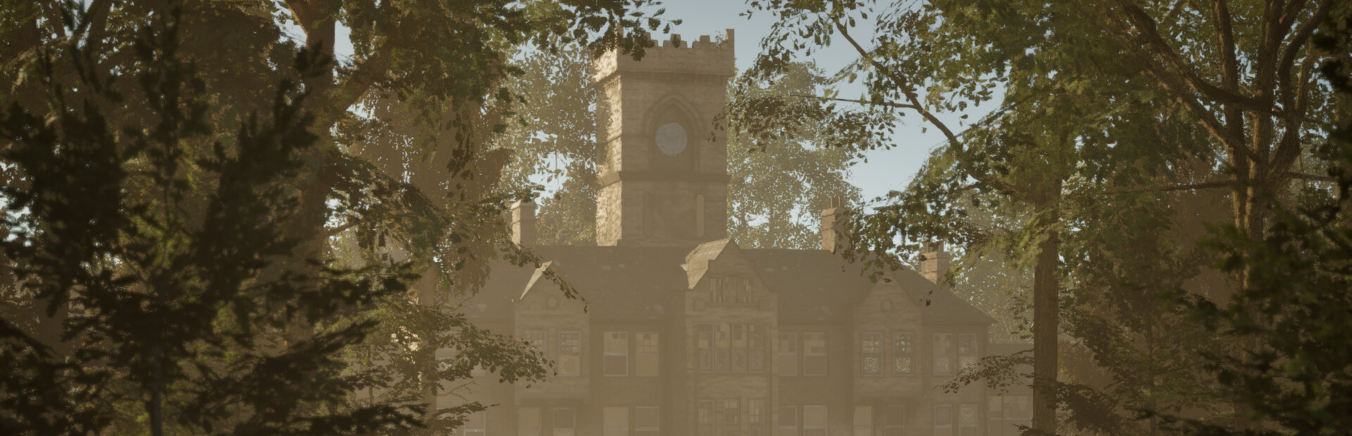 Forest Asylum 2