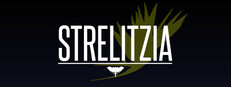 Strelitzia