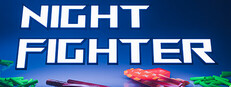Night Fighter