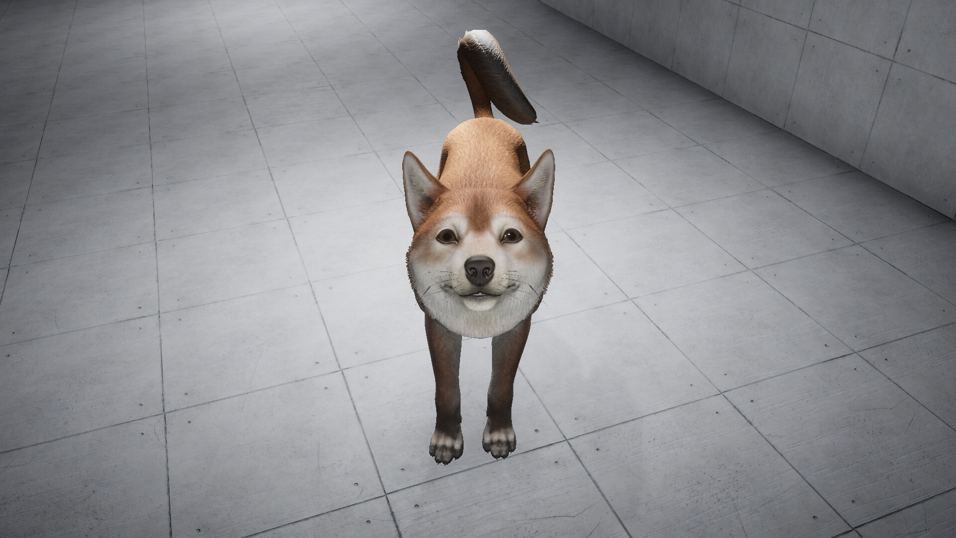 Like a dog screenshot #3