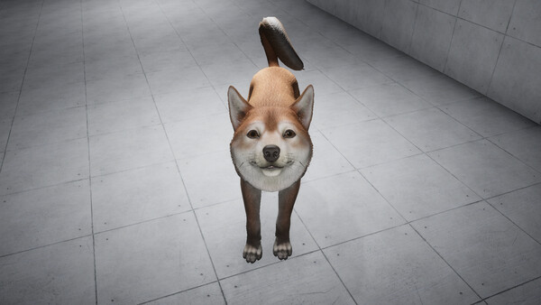 Like a dog screenshot 3