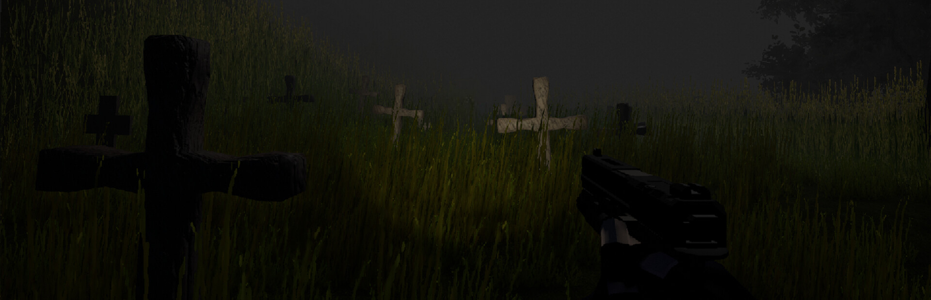 Echoes in the Dark