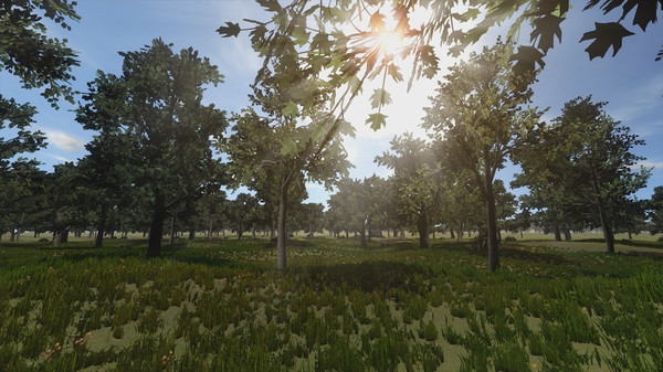 Thumbnail 15