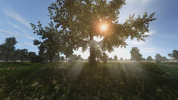 Thumbnail 18