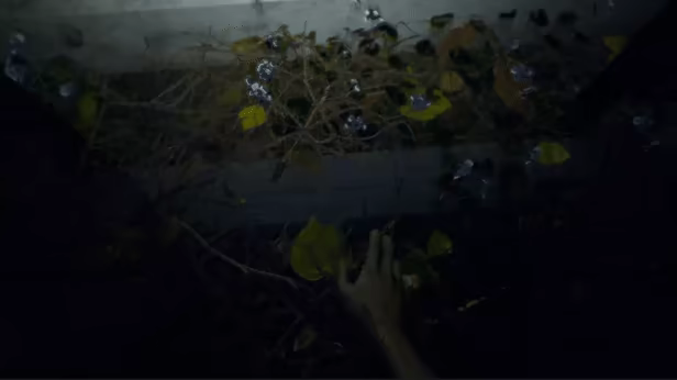 The White Sea video 11