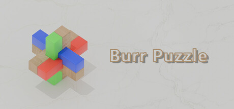Burr Puzzle