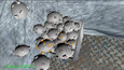 Screenshot #3