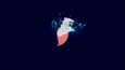 Screenshot #8