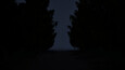 Screenshot #10