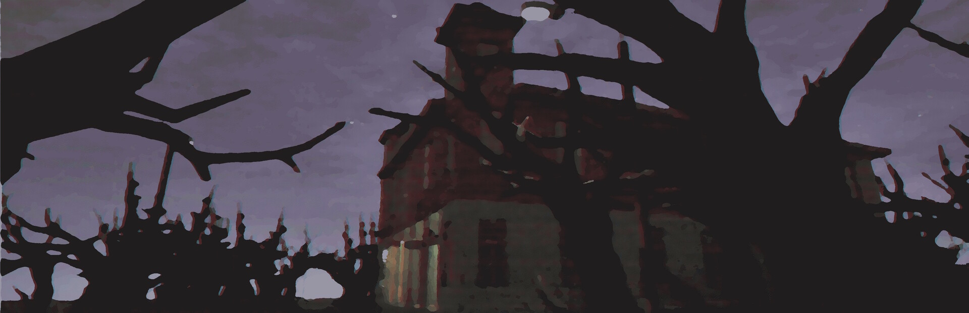 swamp_land.mp4