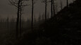 Screenshot #10